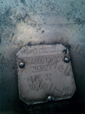 293821 Vogel