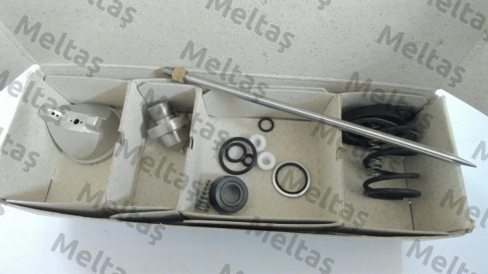 V1611503103 Walther Pilot