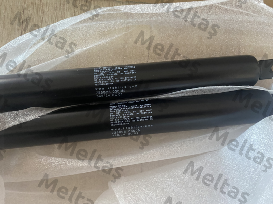 729825 Stabilus
