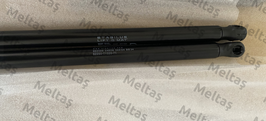 002588 Stabilus