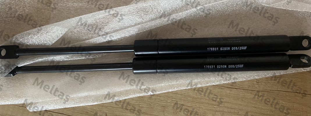 176931 Stabilus