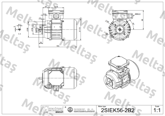 2SIEK56x-4C2 BESEL S.A.