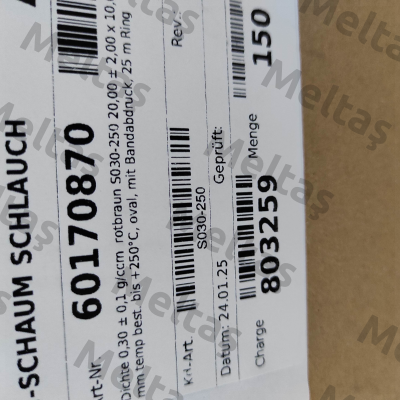 S030-250 BIW Isolierstoffe GmbH