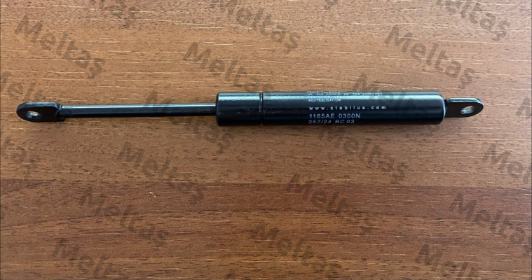 1165AE 0300N 264/04 E 09 Stabilus