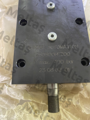 250300-BAZ00 Binder