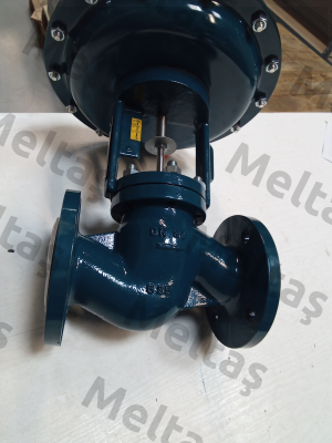 20050A16BFBCE00000RT3019B CONFLOW