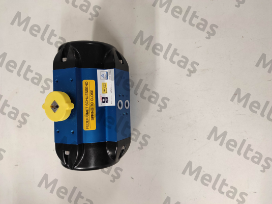 BR03-SAF / 166705 AMG Pesch