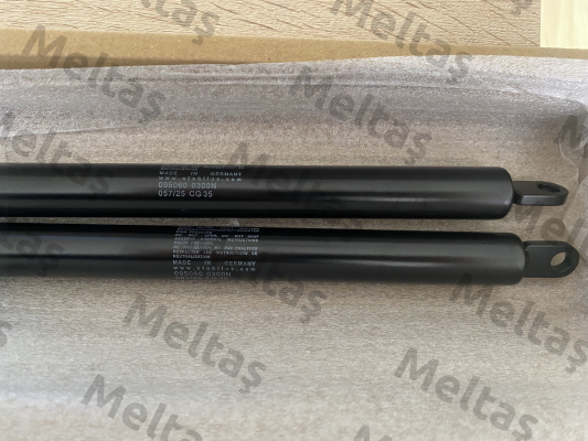 095060 Stabilus