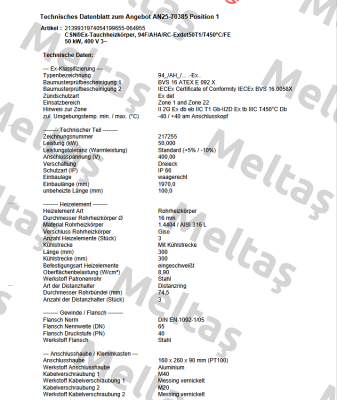94F/AHA/RC-Exdet50T1/T450°C/FE Schniewindt