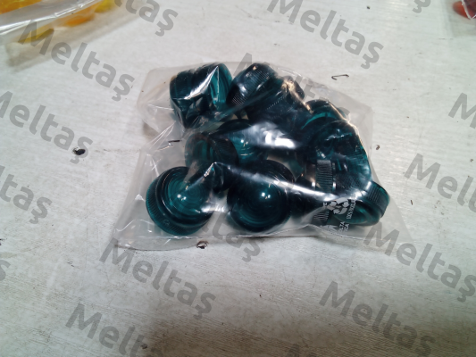 RSRXO 020G COELBO