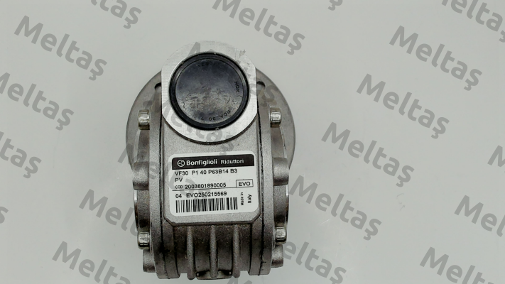 VF 30 P1 40 P63 B14 B3 Bonfiglioli