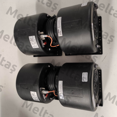015-B46-22 24V GR RP SPAL