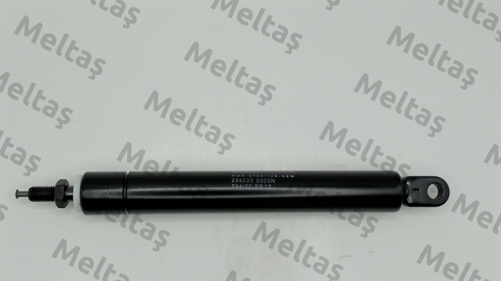 299030 Stabilus