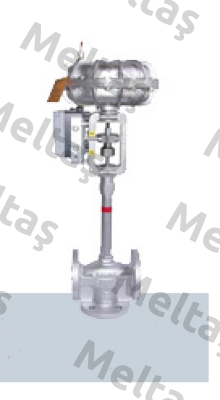 342-BK-SS-373-P21-6-Fu-86  Baelz