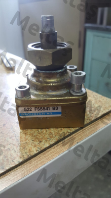 522 FS5541 B3 Bachofen