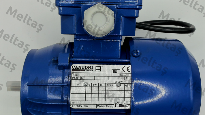 100171/ SEMKG-56-2A2 B14kl Cantoni