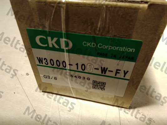 W3000-10-W-fy Ckd