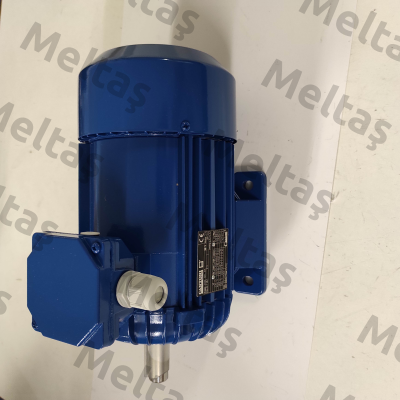 1108B004025IE3B type 3SIE 080B-4 Cantoni