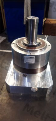 BJ 31-2022 Vogel