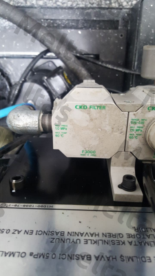 F3000-10-W-FX1 Ckd