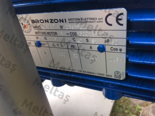 0565902  Bronzoni