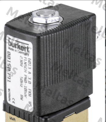00150391 (6013-A03,0FFMSFB01-5-230/50-08) Typ: 6013  Burkert