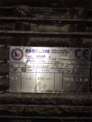 0218389  Bronzoni