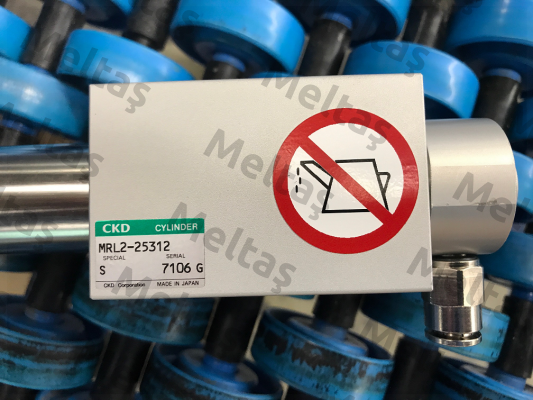 MRL2-25-312  Ckd