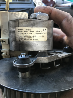 WFFB1202-015 - Part of: DSF133-42  Torin-Sifan