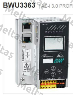 BWU3363 Bihl Wiedemann