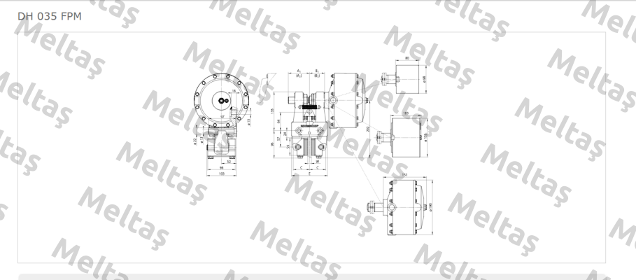 DH 035 FPM-122R-12  Ringspann