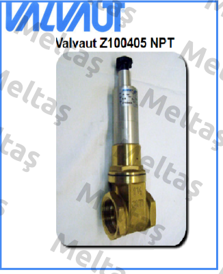 Z100405 NPT  Valvaut