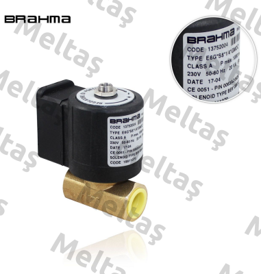 13752004 / E6G*S 8*1/4*GMOC Brahma
