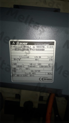 BG20-11/D09SA4-TF-K311B/E008B9  Bauer