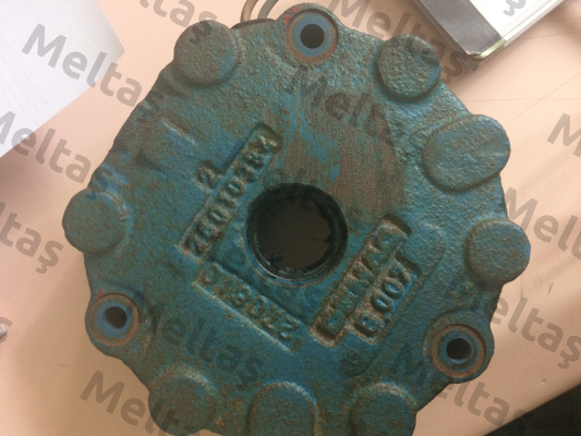 B007 Demag