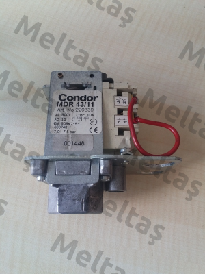 229339 Condor