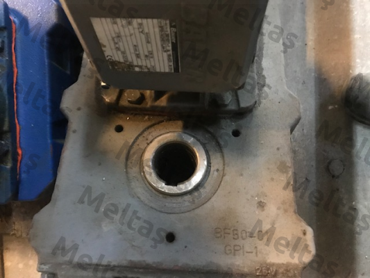Type:BF50-74/DHE11LA4-TF Bauer