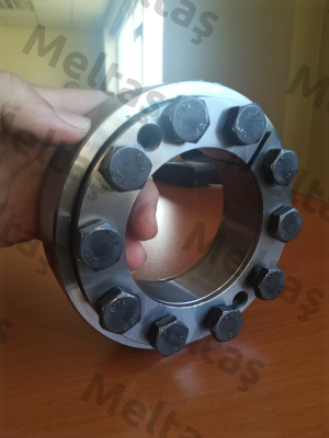 4200-075801-000002 Ringspann