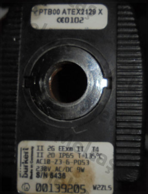 139205 Burkert
