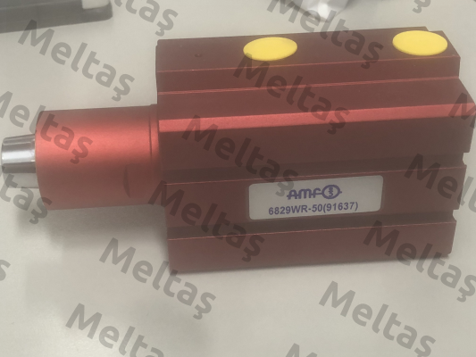 91637 Amf
