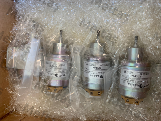 RZ12/24 C.E.I SRL
