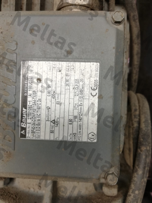 Type: BF40-34-C/DNFXS11SA4-TX/SP Bauer