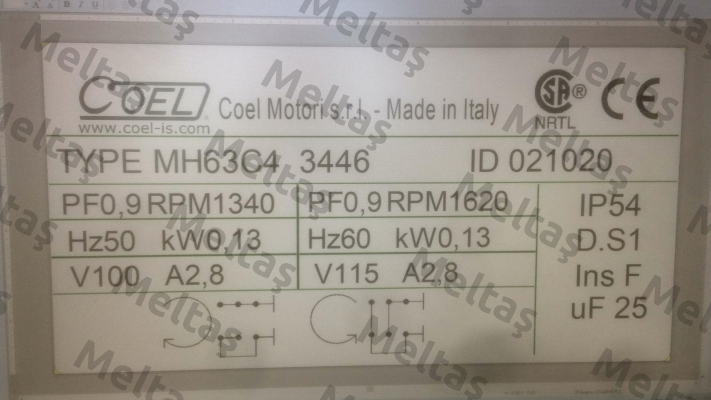 3446 Coel