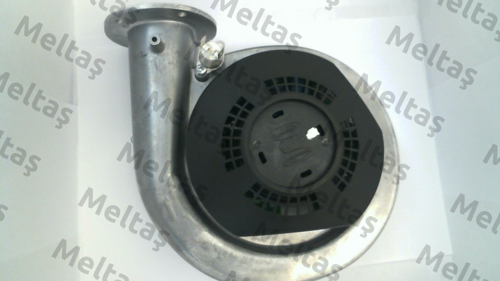 A1050014 Torin-Sifan