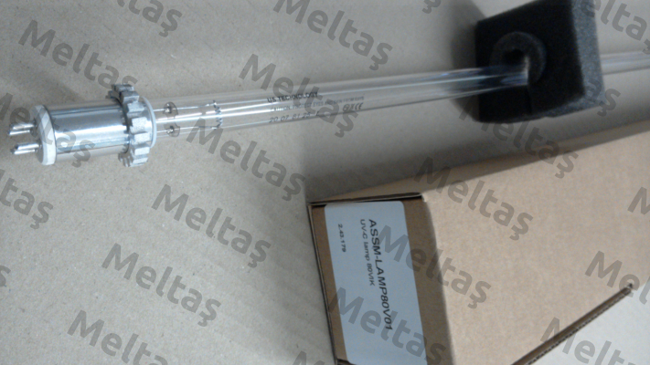ASSM-LAMP80V01 Berson