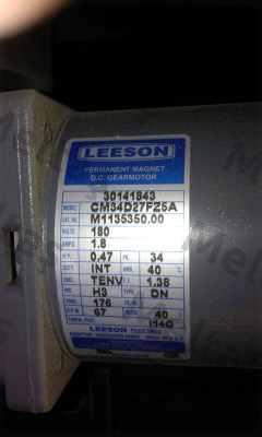 30141843 Leeson