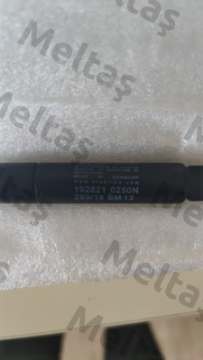 192821 0250N Stabilus