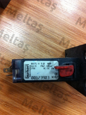 00123903  Burkert