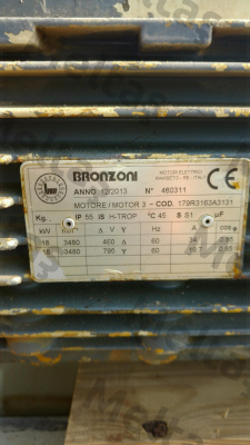 173R3163A3131  Bronzoni
