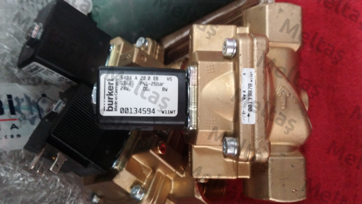00134594  Burkert